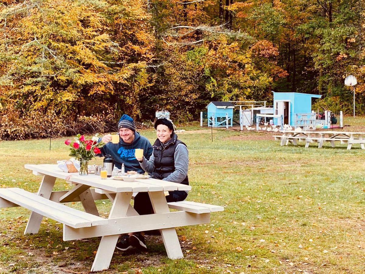 Arcady Mountain Motor Lodge Sunderland Eksteriør bilde