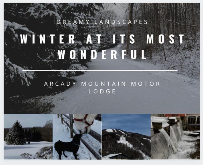 Arcady Mountain Motor Lodge Sunderland Eksteriør bilde